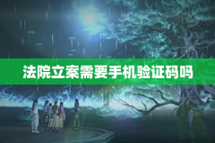 法院立案需要手机验证码吗