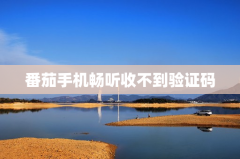 番茄手机畅听收不到验证码