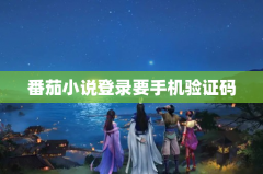 番茄小说登录要手机验证码