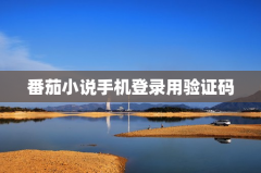 番茄小说手机登录用验证码