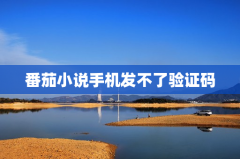 番茄小说手机发不了验证码
