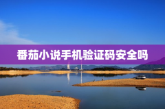 番茄小说手机验证码安全吗