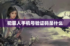 犯罪人手机号验证码是什么