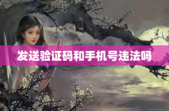 发送验证码和手机号违法吗