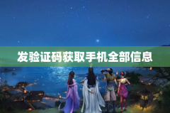 发验证码获取手机全部信息