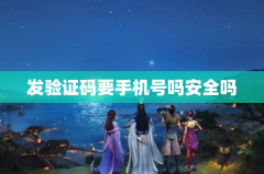 发验证码要手机号吗安全吗