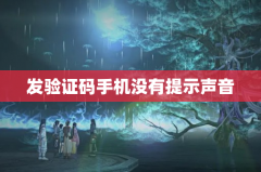 发验证码手机没有提示声音