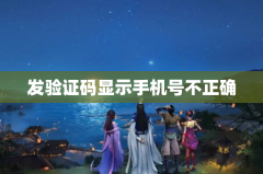 发验证码显示手机号不正确