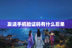 发送手机验证码有什么后果