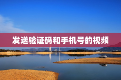 发送验证码和手机号的视频