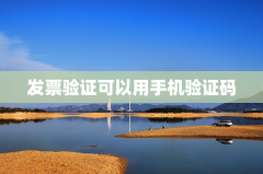 发票验证可以用手机验证码