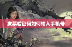 发票验证码如何输入手机号