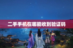 二手手机在哪能收到验证码