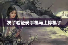 发了验证码手机马上停机了