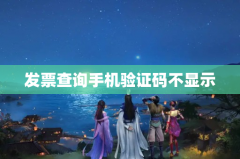 发票查询手机验证码不显示