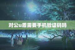 对公u盾需要手机验证码吗