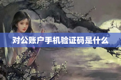 对公账户手机验证码是什么