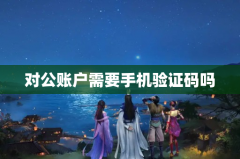 对公账户需要手机验证码吗