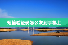 短信验证码怎么发到手机上