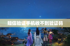 短信验证手机收不到验证码
