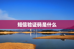 短信验证码是什么