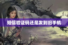 短信验证码还是发到旧手机