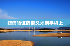 短信验证码很久才到手机上
