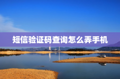 短信验证码查询怎么弄手机