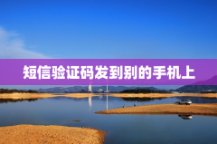 短信验证码发到别的手机上