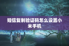 短信复制验证码怎么设置小米手机