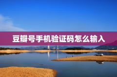 豆瓣号手机验证码怎么输入