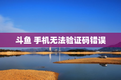 斗鱼手机无法验证码错误