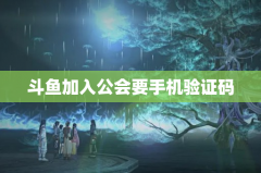 斗鱼加入公会要手机验证码