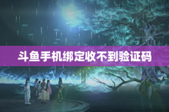 斗鱼手机绑定收不到验证码