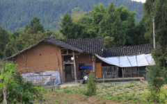 农村里的很多人还是有着传宗接代的思想