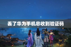 丢了华为手机总收到验证码