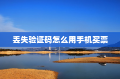 丢失验证码怎么用手机买票