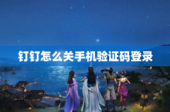 钉钉怎么关手机验证码登录