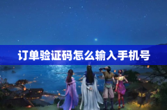 订单验证码怎么输入手机号码