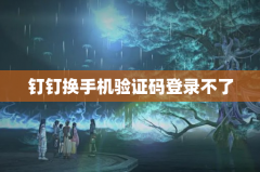钉钉换手机验证码登录不了