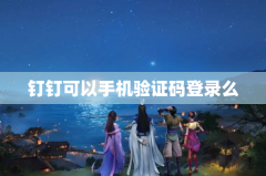 钉钉可以手机验证码登录么