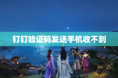 钉钉验证码发送手机收不到