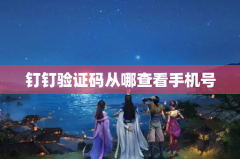 钉钉验证码从哪查看手机号