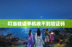 叮当验证手机收不到验证码