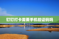 钉钉打卡需要手机验证码吗