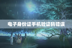 电子身份证手机验证码错误