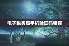 电子税务局手机验证码错误