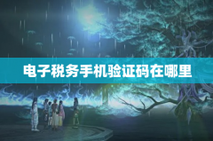 电子税务手机验证码在哪里