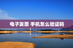 电子发票 手机怎么验证码