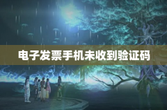 电子发票手机未收到验证码